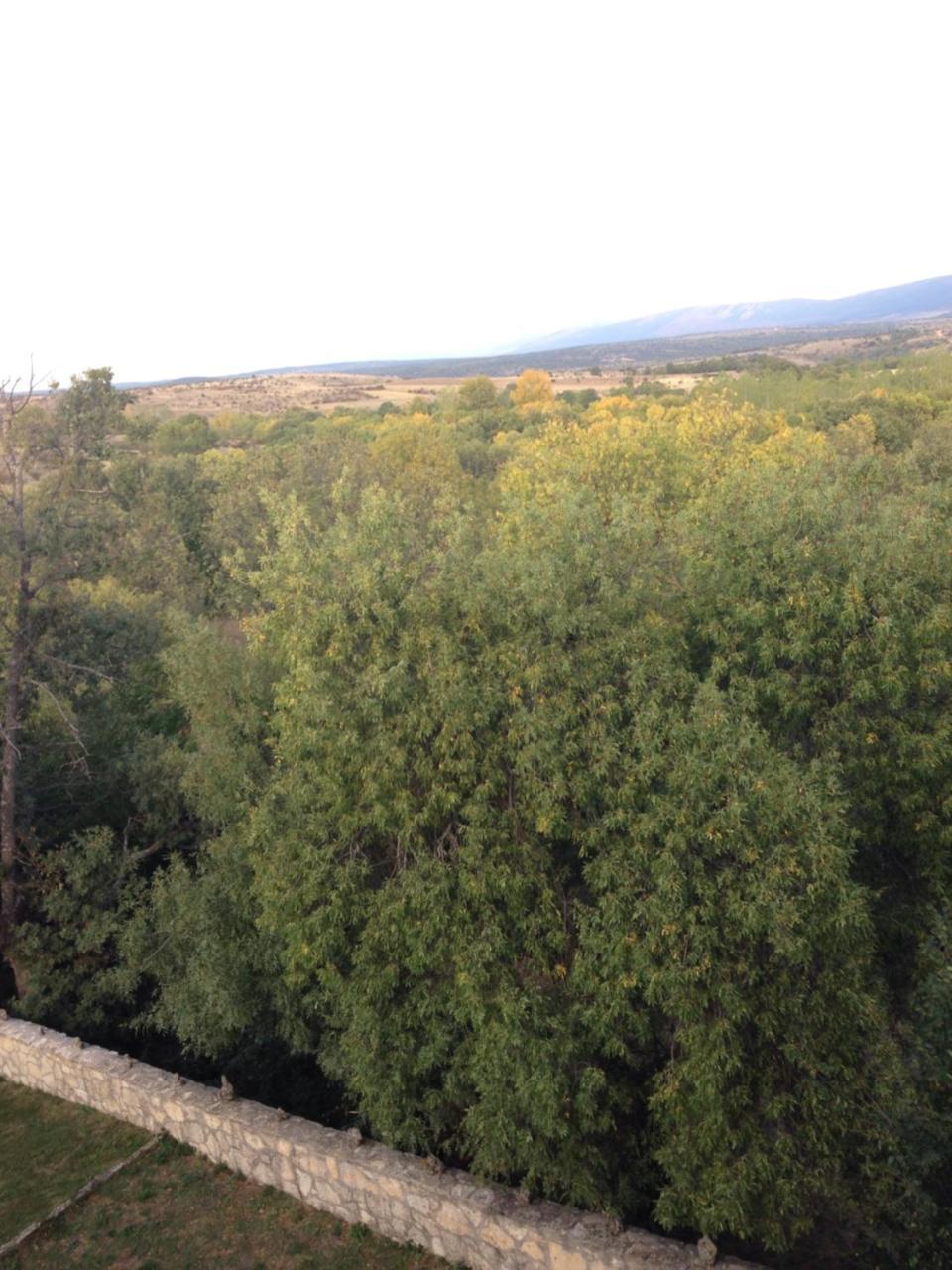 Apartamento Rural la Muralla de Pedraza Chavida Esterno foto